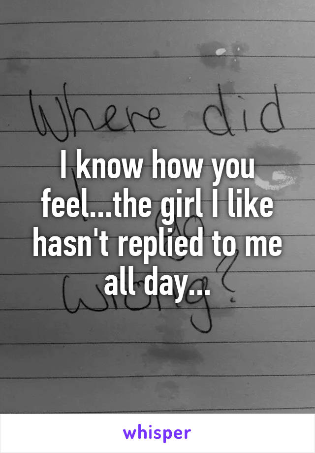 I know how you feel...the girl I like hasn't replied to me all day...