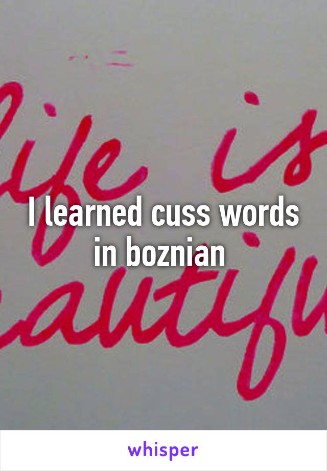 I learned cuss words in boznian 