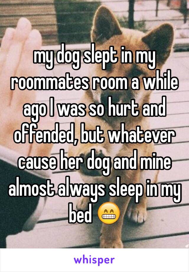 my dog slept in my roommates room a while ago I was so hurt and offended, but whatever cause her dog and mine almost always sleep in my bed 😁