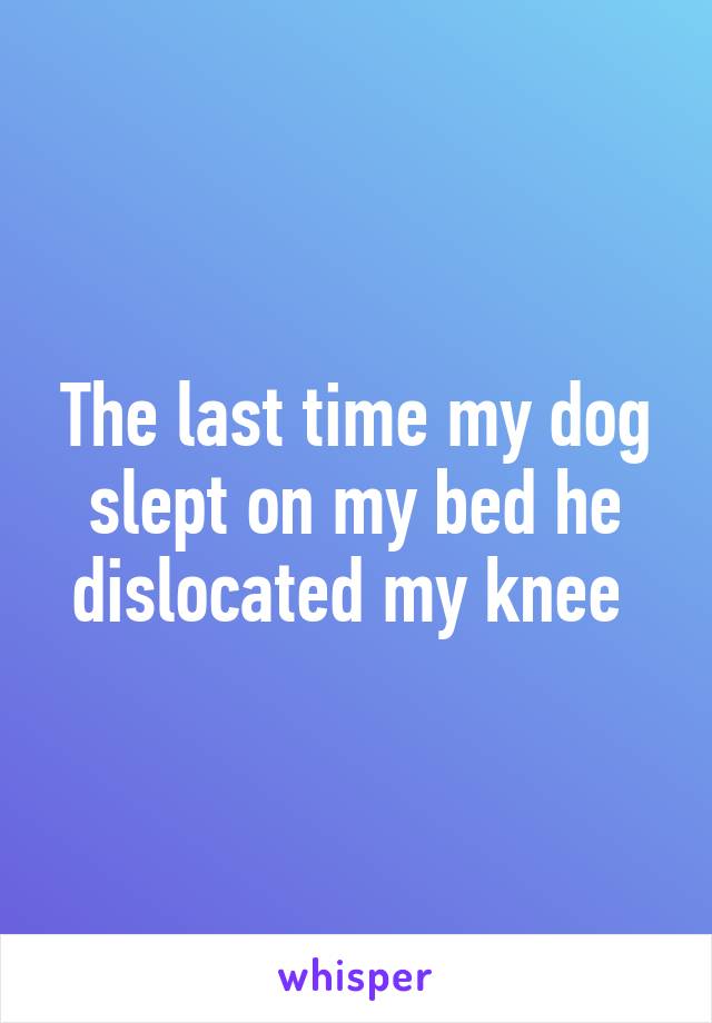 The last time my dog slept on my bed he dislocated my knee 