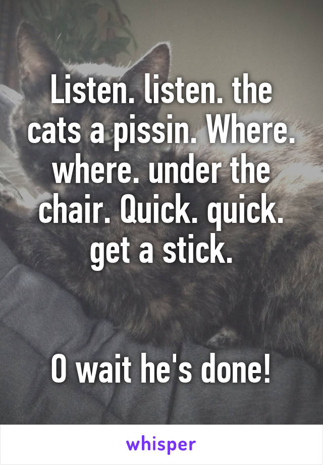 Listen. listen. the cats a pissin. Where. where. under the chair. Quick. quick. get a stick.


O wait he's done!