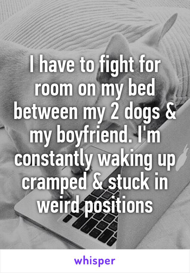 I have to fight for room on my bed between my 2 dogs & my boyfriend. I'm constantly waking up cramped & stuck in weird positions