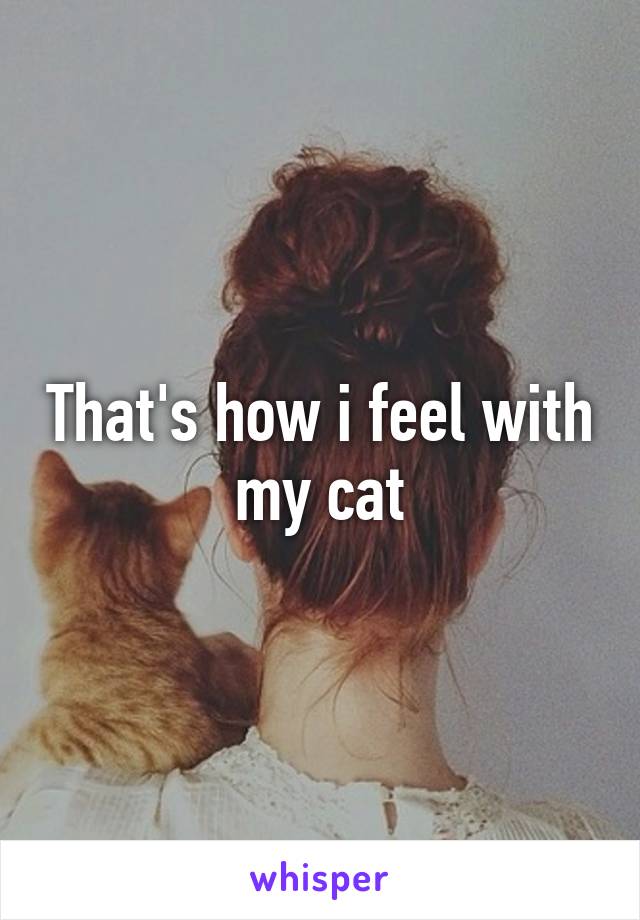 That's how i feel with my cat