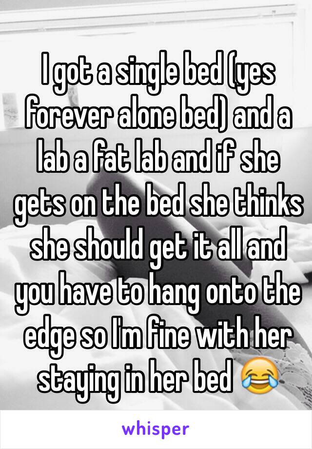 I got a single bed (yes forever alone bed) and a lab a fat lab and if she gets on the bed she thinks she should get it all and you have to hang onto the edge so I'm fine with her staying in her bed 😂