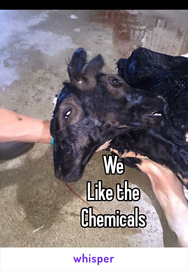 We
Like the 
Chemicals 