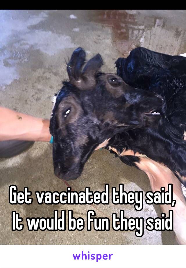 Get vaccinated they said,
It would be fun they said 