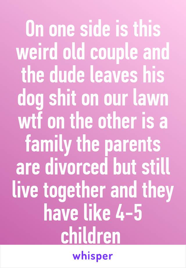 On one side is this weird old couple and the dude leaves his dog shit on our lawn wtf on the other is a family the parents are divorced but still live together and they have like 4-5 children 