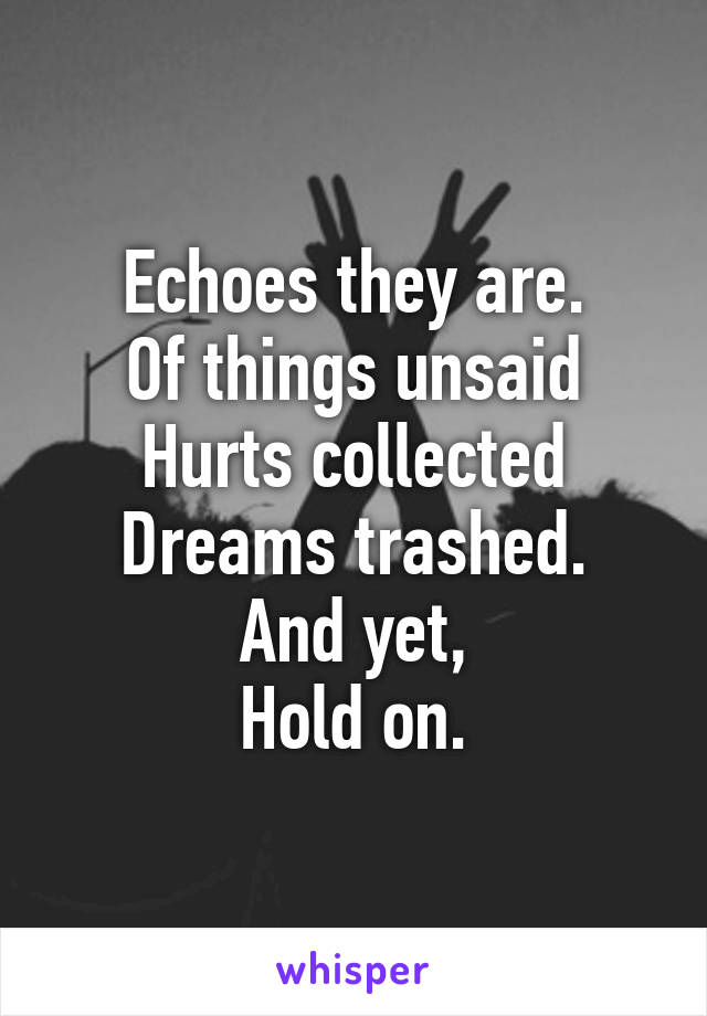 Echoes they are.
Of things unsaid
Hurts collected
Dreams trashed.
And yet,
Hold on.