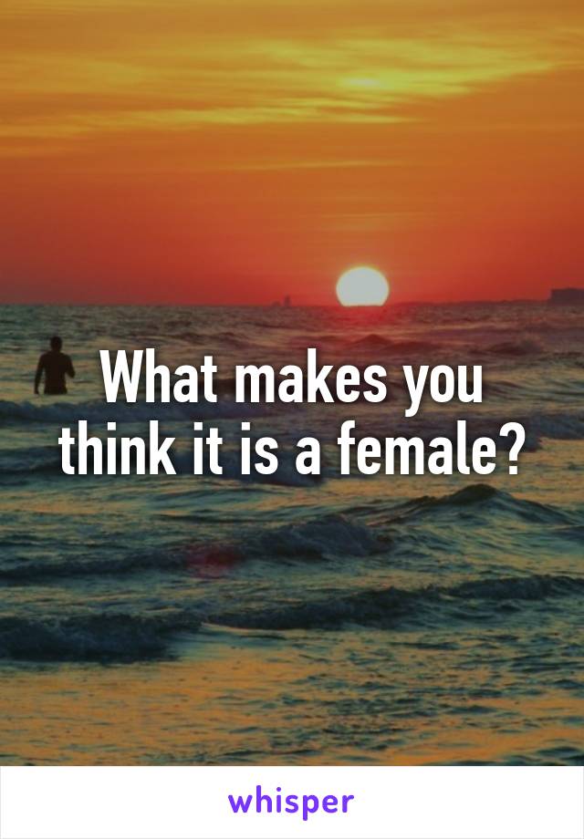 What makes you think it is a female?