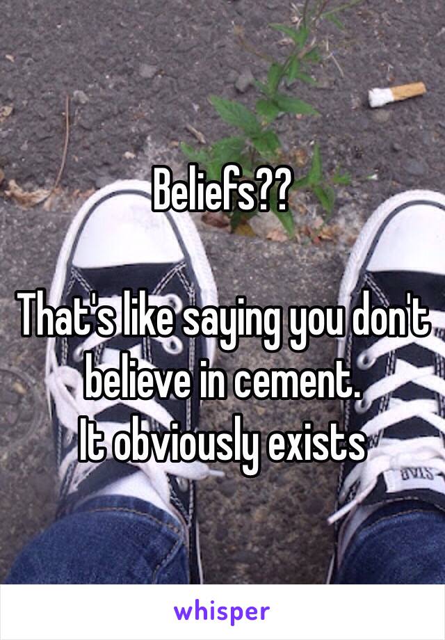 Beliefs??

That's like saying you don't believe in cement.
It obviously exists