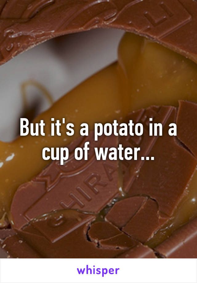 But it's a potato in a cup of water...