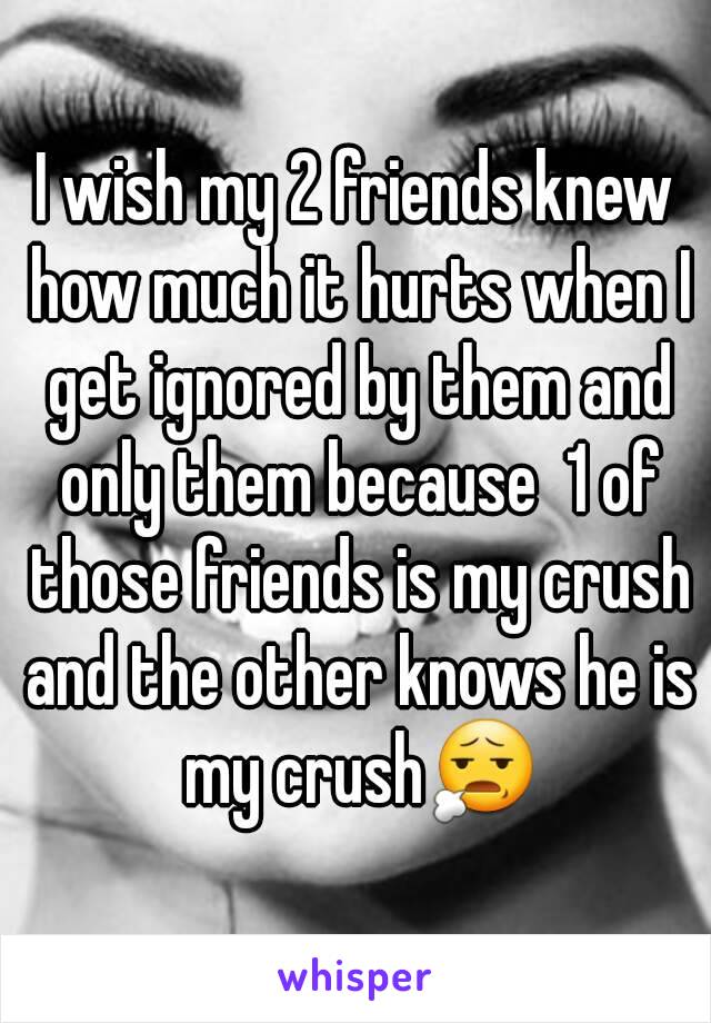 I wish my 2 friends knew how much it hurts when I get ignored by them and only them because  1 of those friends is my crush and the other knows he is my crush😧