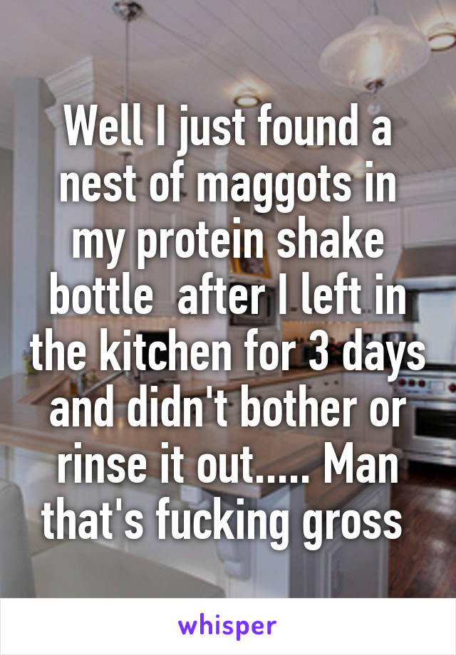 Well I just found a nest of maggots in my protein shake bottle  after I left in the kitchen for 3 days and didn't bother or rinse it out..... Man that's fucking gross 