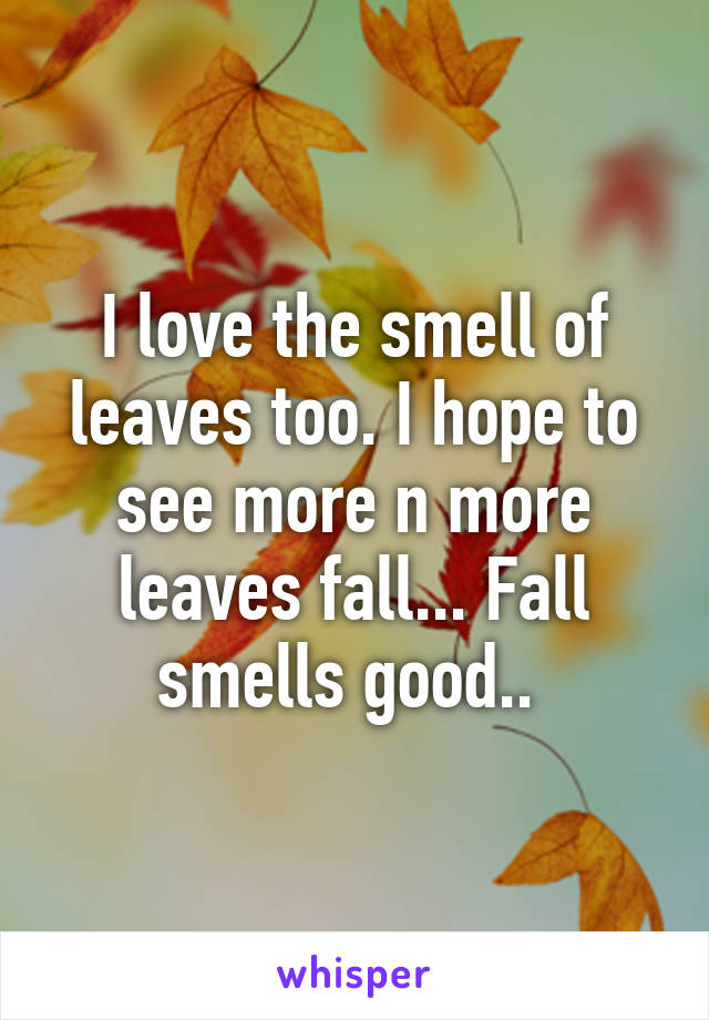 I love the smell of leaves too. I hope to see more n more leaves fall... Fall smells good.. 