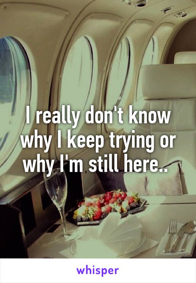 I really don't know why I keep trying or why I'm still here.. 