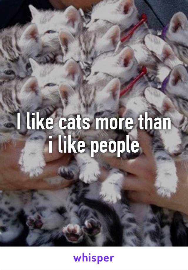 I like cats more than i like people