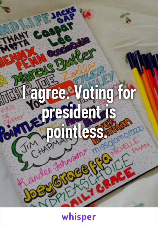 I agree. Voting for president is pointless. 