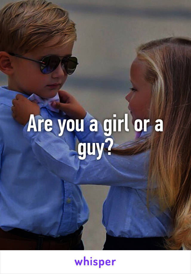 Are you a girl or a guy?