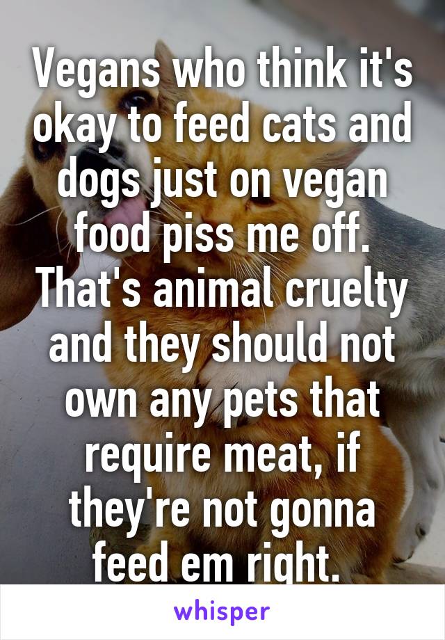 Vegans who think it's okay to feed cats and dogs just on vegan food piss me off. That's animal cruelty and they should not own any pets that require meat, if they're not gonna feed em right. 