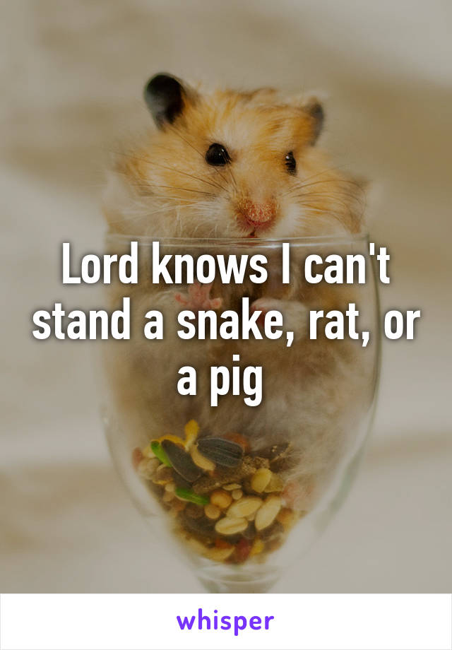 Lord knows I can't stand a snake, rat, or a pig 