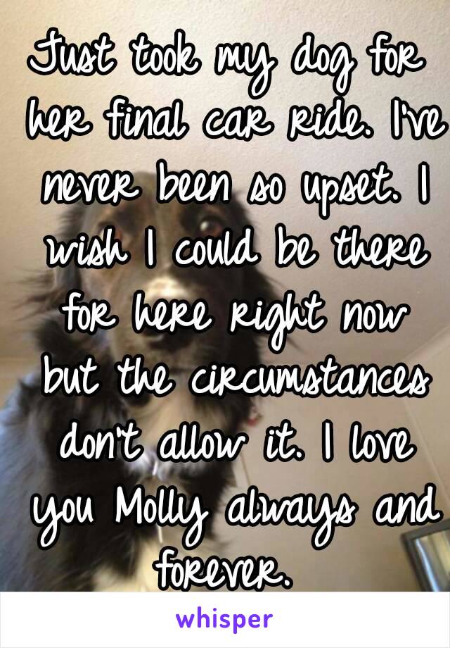 Just took my dog for her final car ride. I've never been so upset. I wish I could be there for here right now but the circumstances don't allow it. I love you Molly always and forever. 