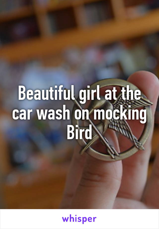 Beautiful girl at the car wash on mocking Bird