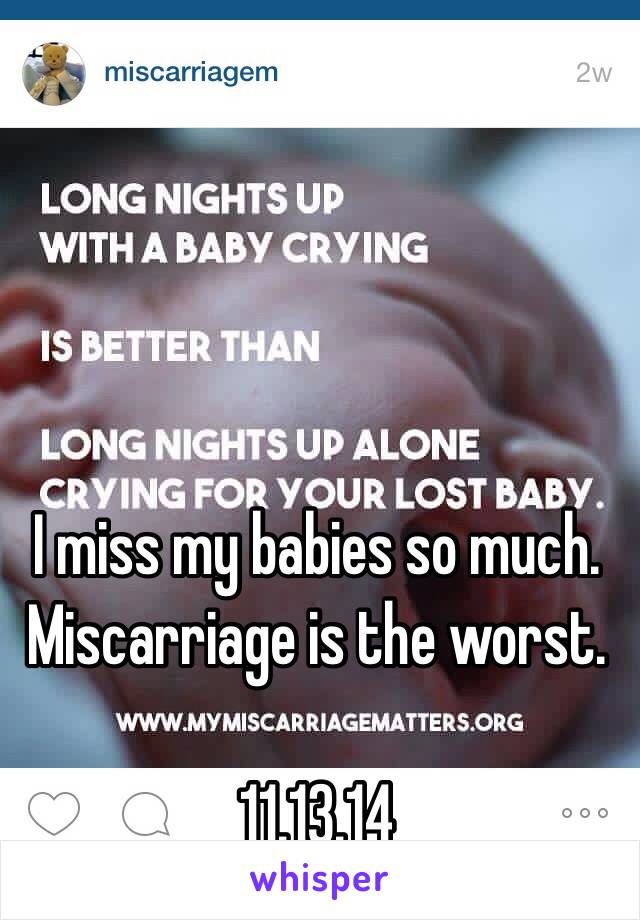 I miss my babies so much. Miscarriage is the worst. 

11.13.14