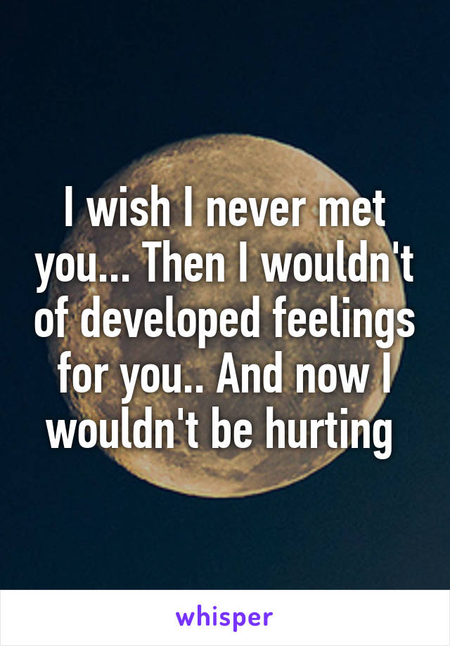 I wish I never met you... Then I wouldn't of developed feelings for you.. And now I wouldn't be hurting 