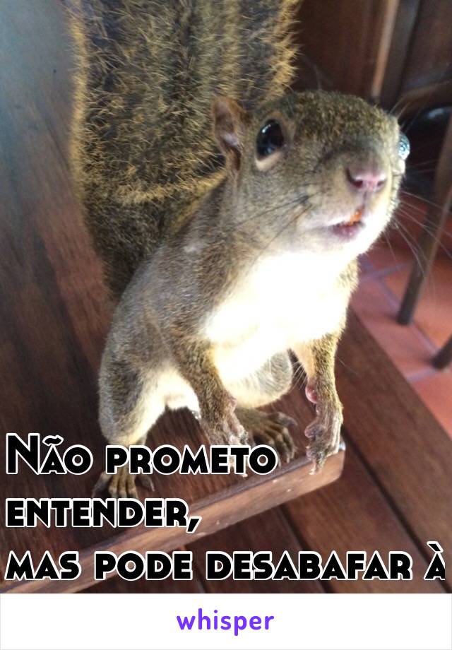 Não prometo 
entender,
mas pode desabafar à
vontade. 