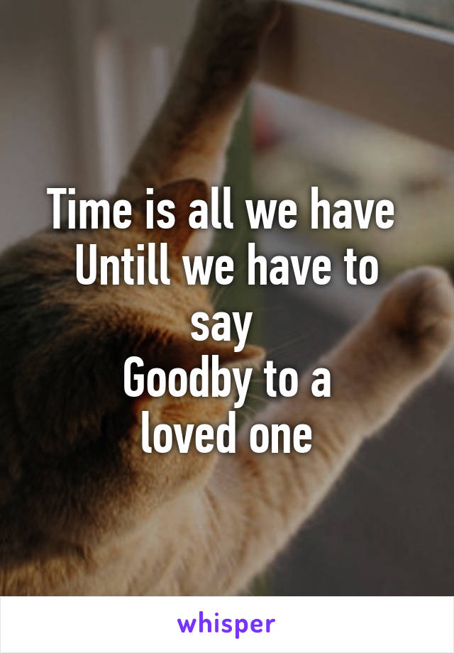 Time is all we have 
Untill we have to say 
Goodby to a
 loved one 