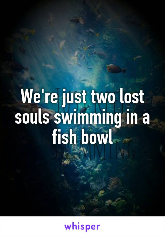 We're just two lost souls swimming in a fish bowl