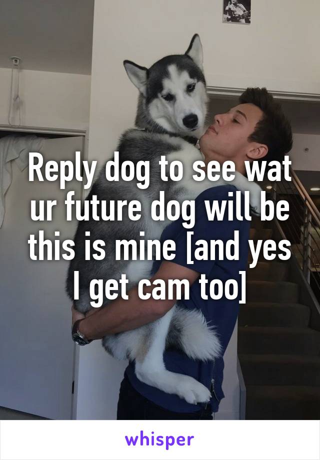 Reply dog to see wat ur future dog will be this is mine [and yes I get cam too]