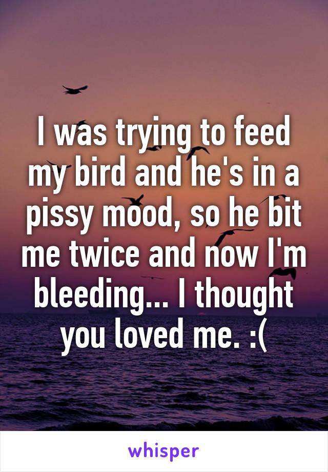 I was trying to feed my bird and he's in a pissy mood, so he bit me twice and now I'm bleeding... I thought you loved me. :(