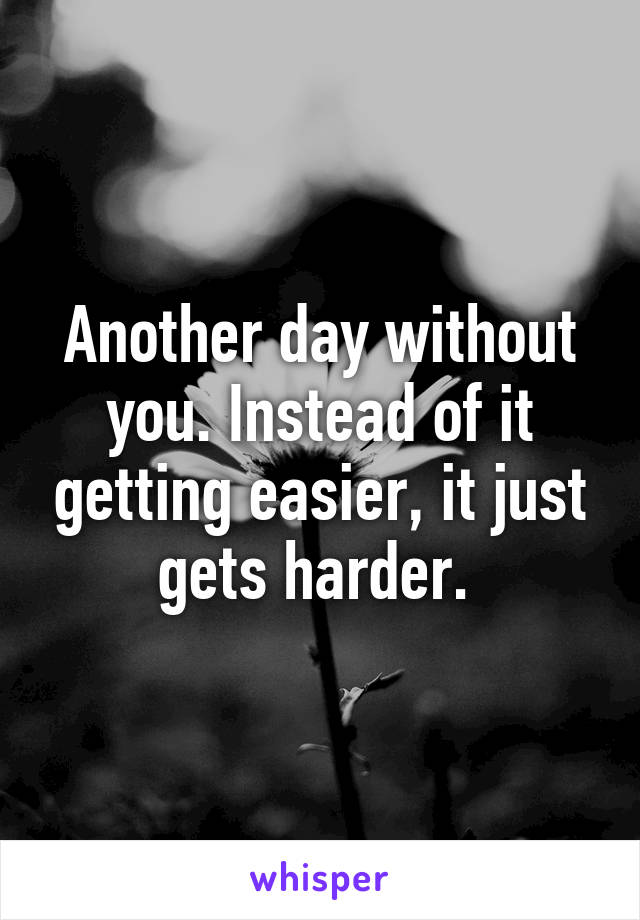 Another day without you. Instead of it getting easier, it just gets harder. 