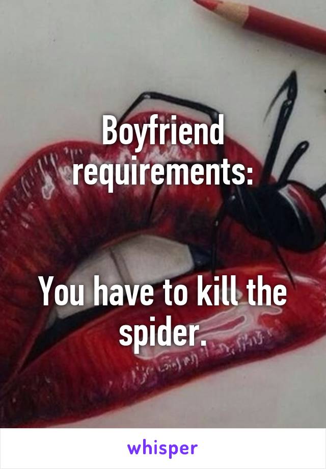 Boyfriend requirements:


You have to kill the spider.