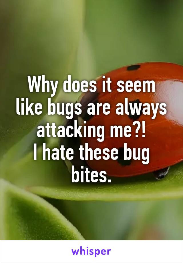 Why does it seem like bugs are always attacking me?!
I hate these bug bites.