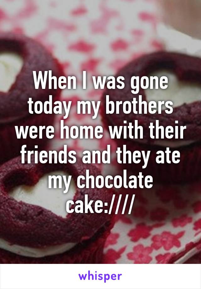 When I was gone today my brothers were home with their friends and they ate my chocolate cake:////