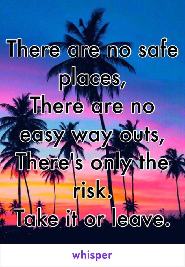 There are no safe places,
There are no easy way outs,
There's only the risk.
Take it or leave.