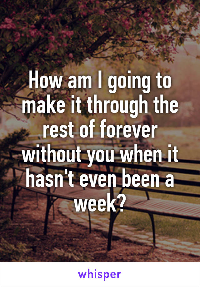 How am I going to make it through the rest of forever without you when it hasn't even been a week?