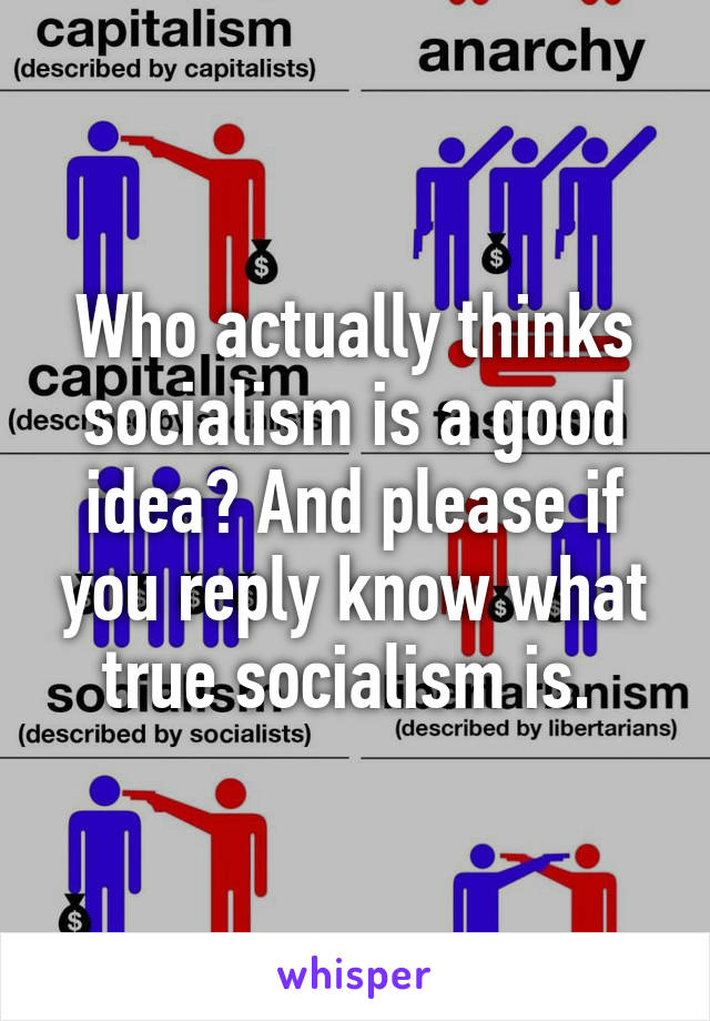 Who actually thinks socialism is a good idea? And please if you reply know what true socialism is. 