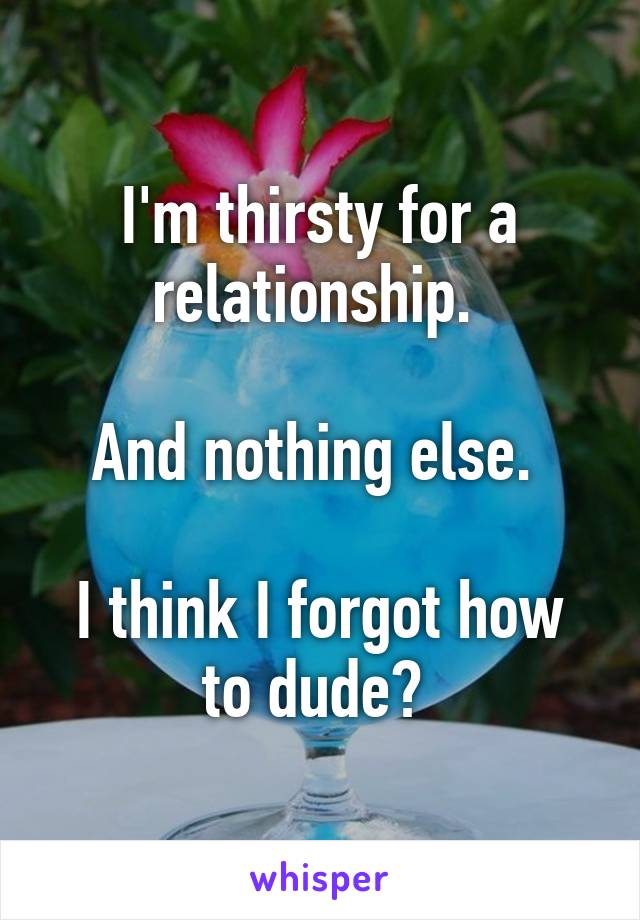 I'm thirsty for a relationship. 

And nothing else. 

I think I forgot how to dude? 