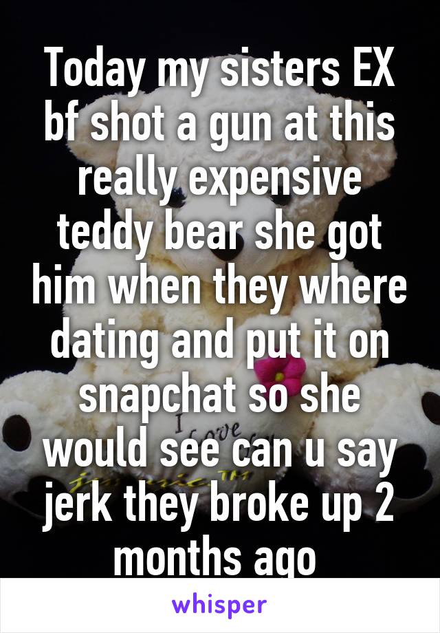 Today my sisters EX bf shot a gun at this really expensive teddy bear she got him when they where dating and put it on snapchat so she would see can u say jerk they broke up 2 months ago 