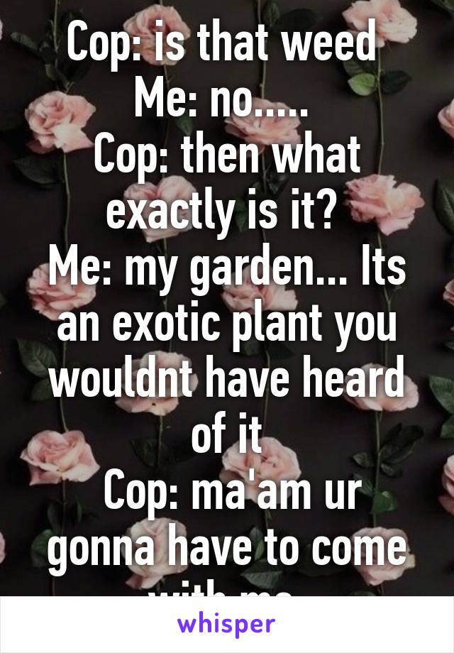 Cop: is that weed 
Me: no..... 
Cop: then what exactly is it? 
Me: my garden... Its an exotic plant you wouldnt have heard of it
 Cop: ma'am ur gonna have to come with me 