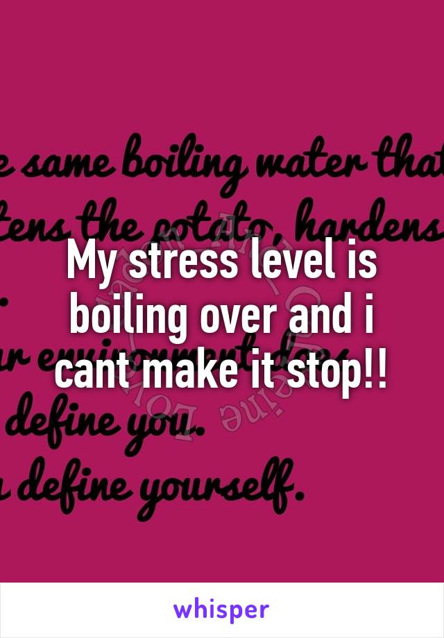 My stress level is boiling over and i cant make it stop!!