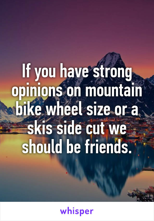 If you have strong opinions on mountain bike wheel size or a skis side cut we should be friends.