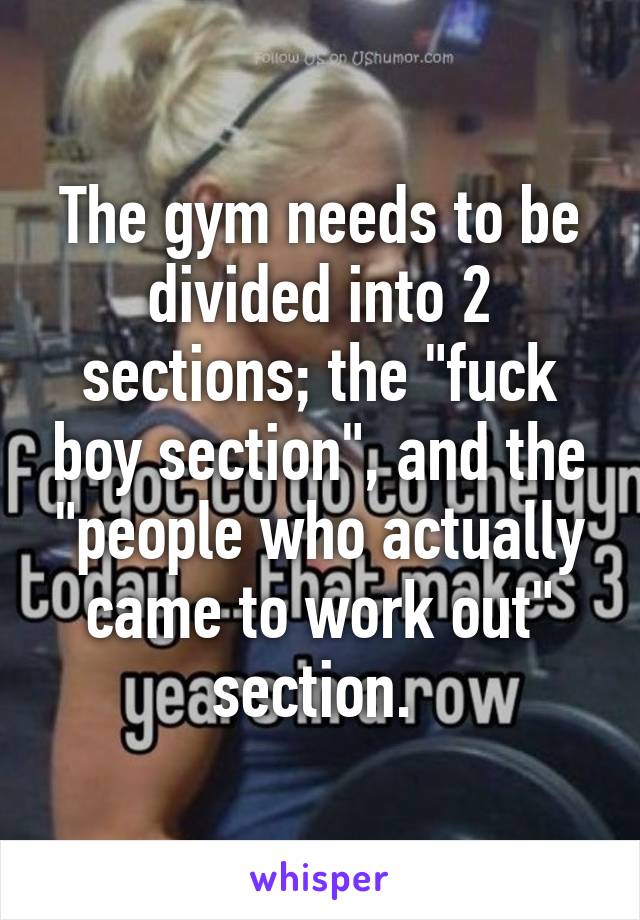 The gym needs to be divided into 2 sections; the "fuck boy section", and the "people who actually came to work out" section. 