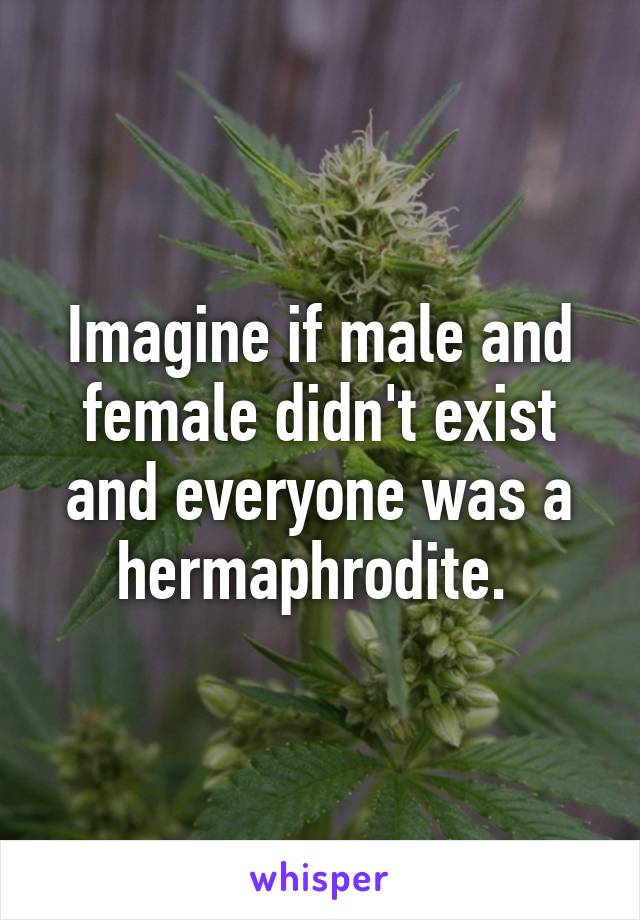 Imagine if male and female didn't exist and everyone was a hermaphrodite. 