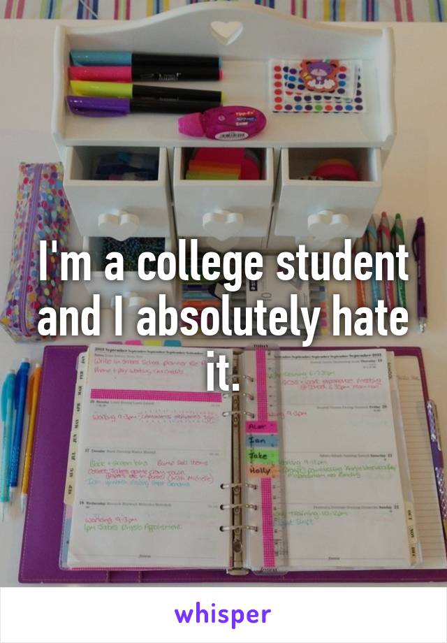 I'm a college student and I absolutely hate it.