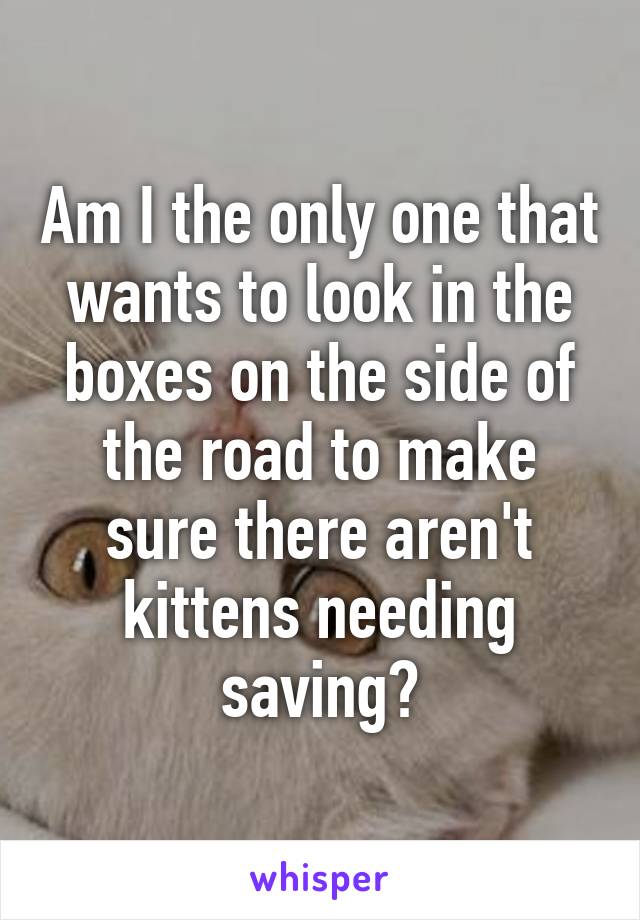 Am I the only one that wants to look in the boxes on the side of the road to make sure there aren't kittens needing saving?