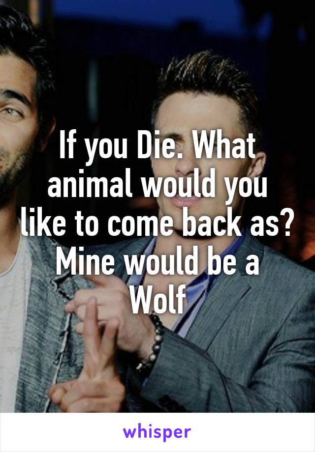 If you Die. What animal would you like to come back as?
Mine would be a Wolf